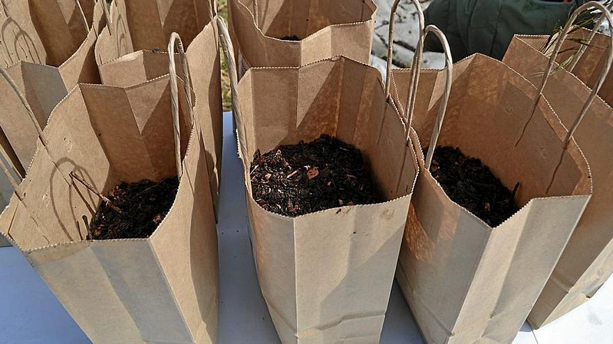 Bolsas de compost.