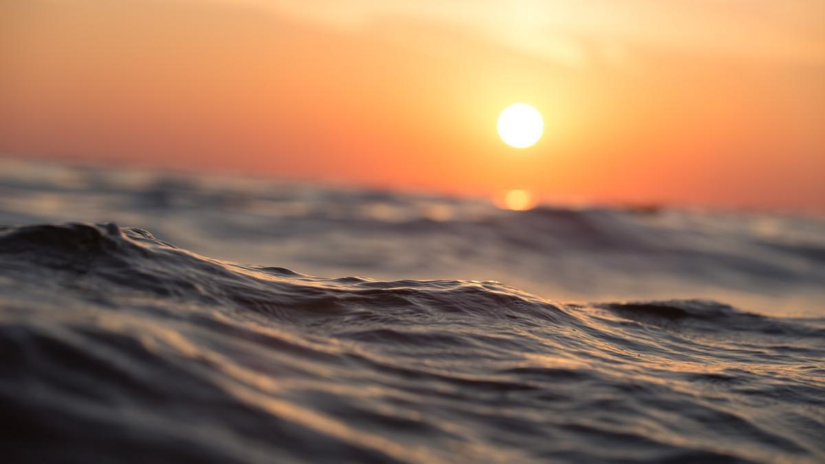 "La acidificación del Oceáno es tan grave como las emisiones de CO2"