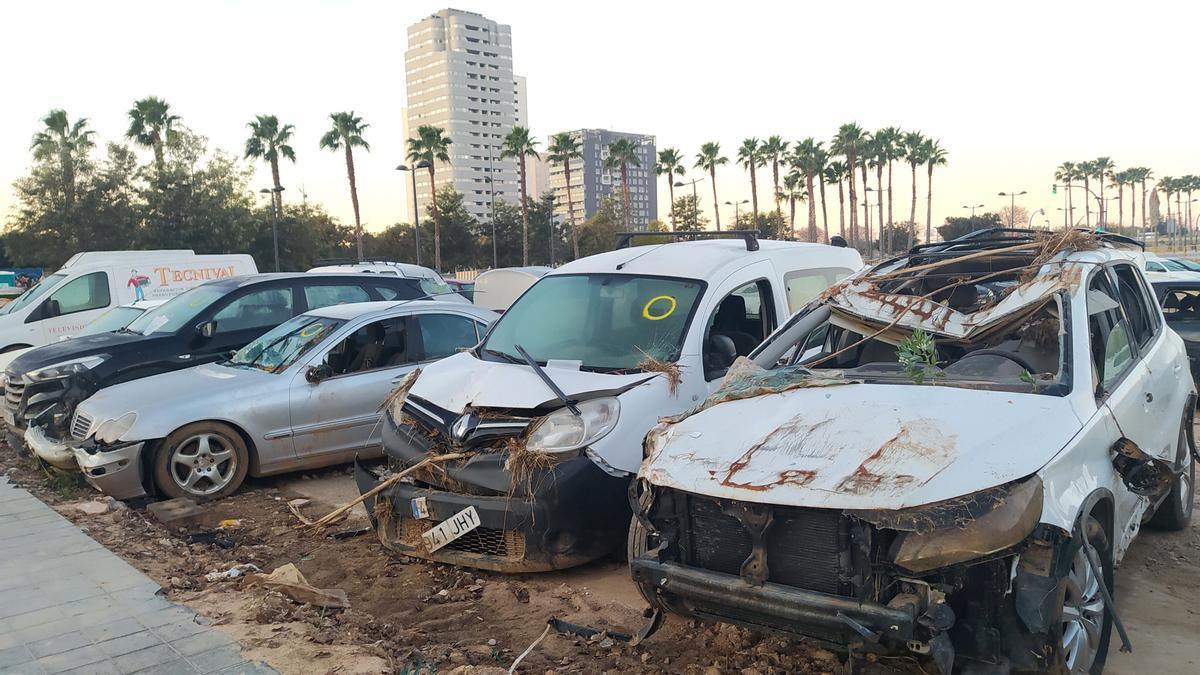 Vehículos afectados por la dana del 29 de octubre en Valencia