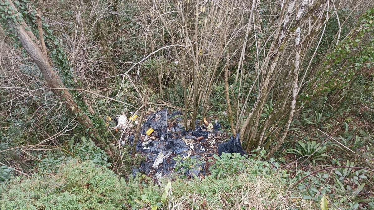 Restos de animales y de desechos.