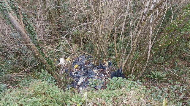 Restos de animales y de desechos.