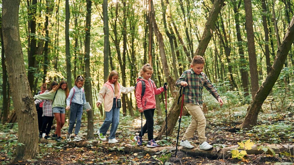Un grupo de niños y niñas de campamento dan un paseo por el bosque.