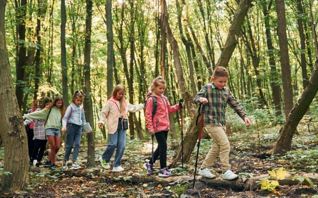 Un grupo de niños y niñas de campamento dan un paseo por el bosque.
