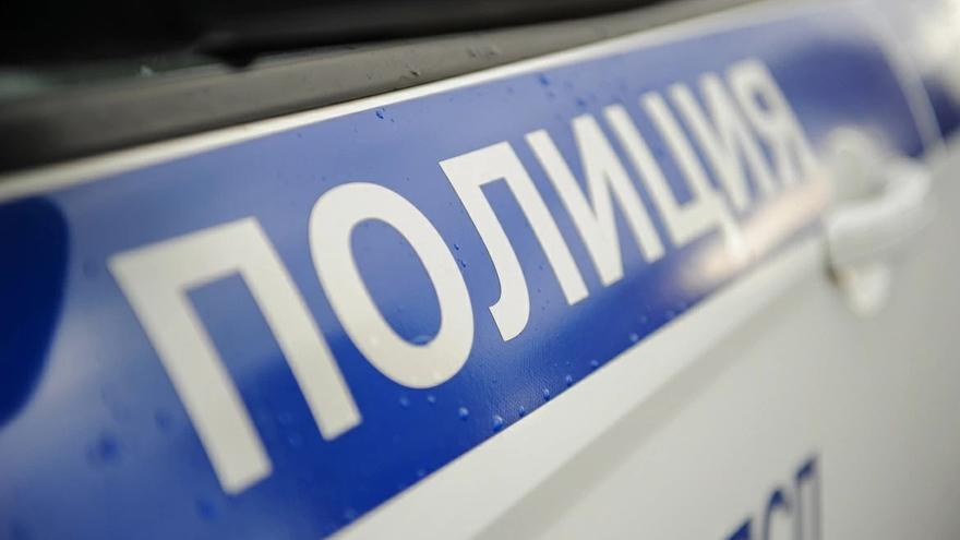 Detalle de un coche de la Policía rusa