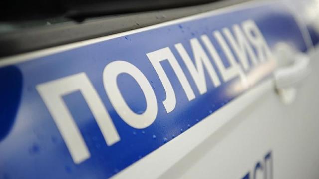 Detalle de un coche de la Policía rusa