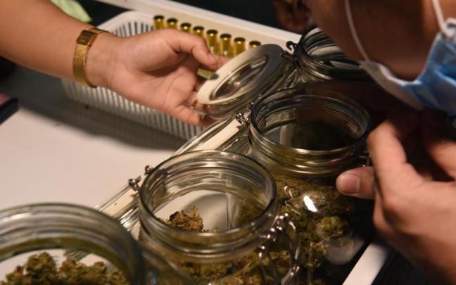 El cannabis medicinal reduce el dolor oncológico y algunas formas de epilepsia.