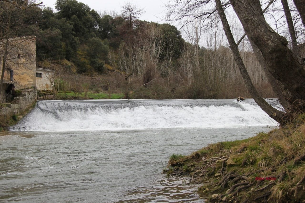 Molino de Labeaga.
