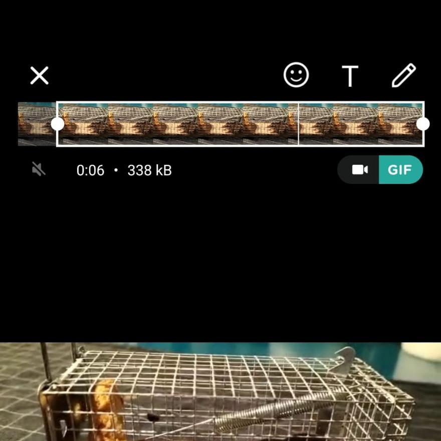 Vídeo preparado para convertirlo en GIF antes de mandar.