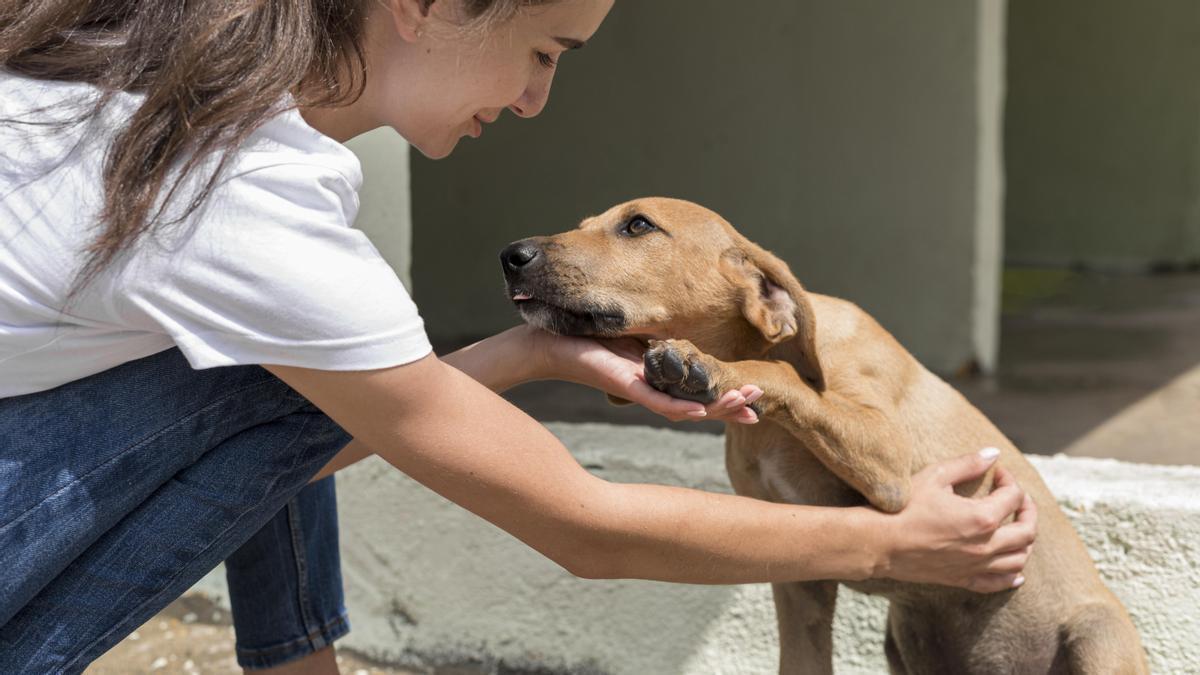 Chica acaricia a su perro.