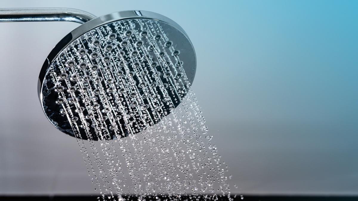 La alcachofa de una ducha en un baño.