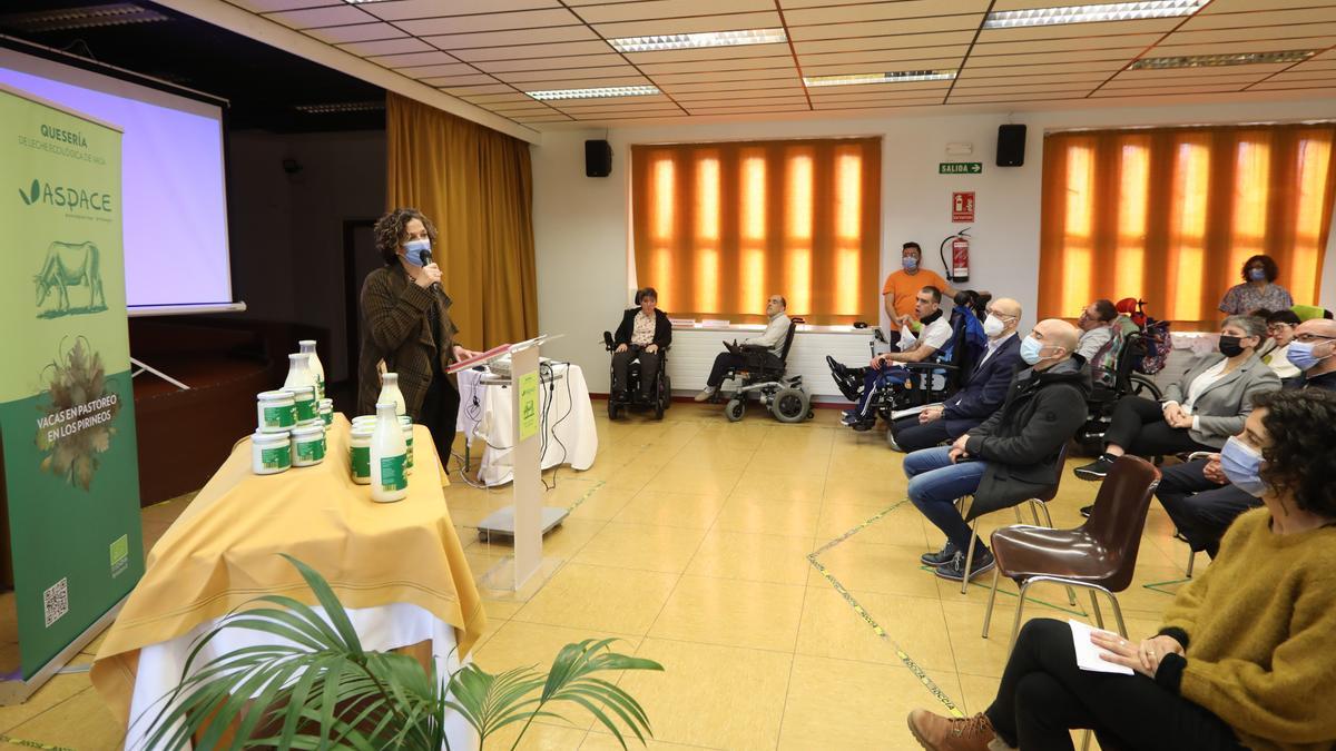 La consejera Gómez, explicando las características del proyecto.