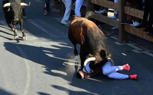 Peligro y tensión en el primer encierro de fiestas de Tafalla Peligro y tensión en el primer encierro de fiestas de Tafalla