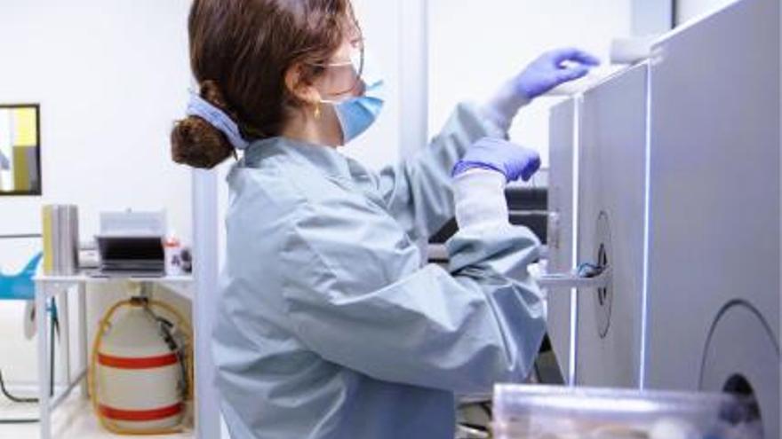 La reparación de la mielina es un nuevo enfoque para combatir la enfermedad de Alzheimer.