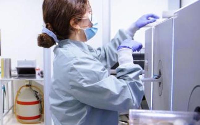 La reparación de la mielina es un nuevo enfoque para combatir la enfermedad de Alzheimer.