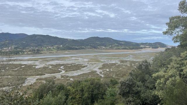 Los expertos de AZTI resaltan la importancia en todo el ecosistema de los pastos marinos.