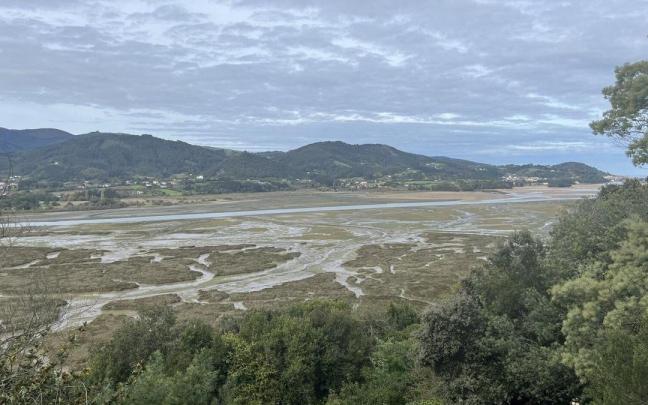 Los expertos de AZTI resaltan la importancia en todo el ecosistema de los pastos marinos.