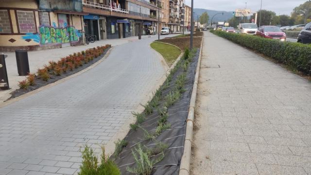 El sistema de videovigilancia regulará el paso en la calle Bidebarrieta