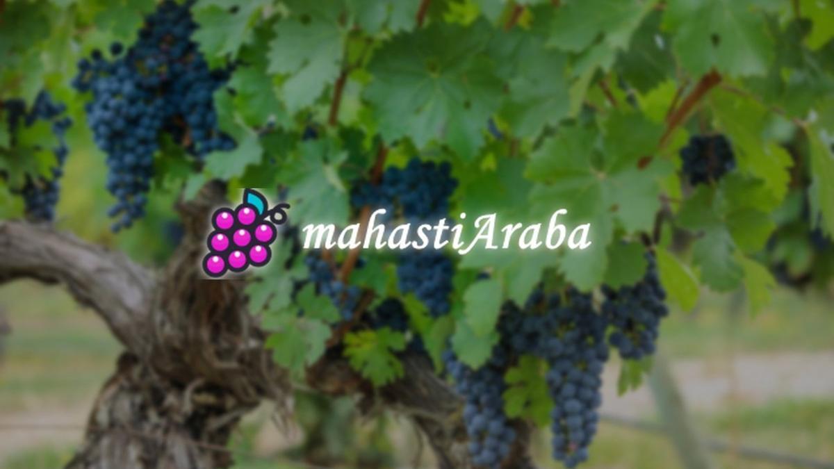 Arabako Aldundiak MahastiAraba plataformaren zerbitzuak indartu ditu.