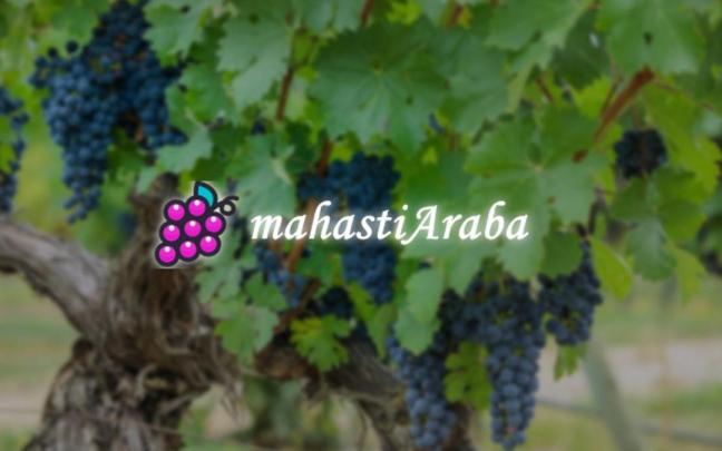 Arabako Aldundiak MahastiAraba plataformaren zerbitzuak indartu ditu.