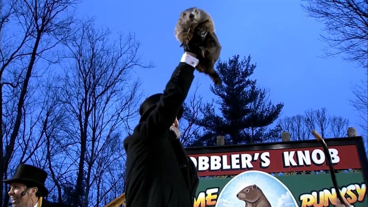 La marmota Phil anunció la llegada de la primavera en 2025.