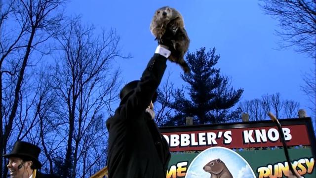 La marmota Phil anunció la llegada de la primavera en 2025.