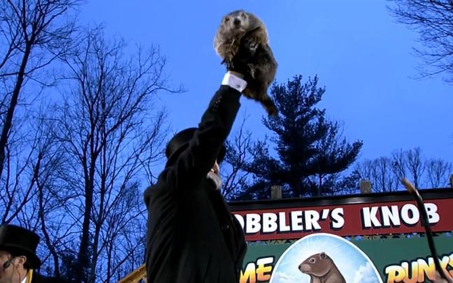 La marmota Phil anunció la llegada de la primavera en 2025.