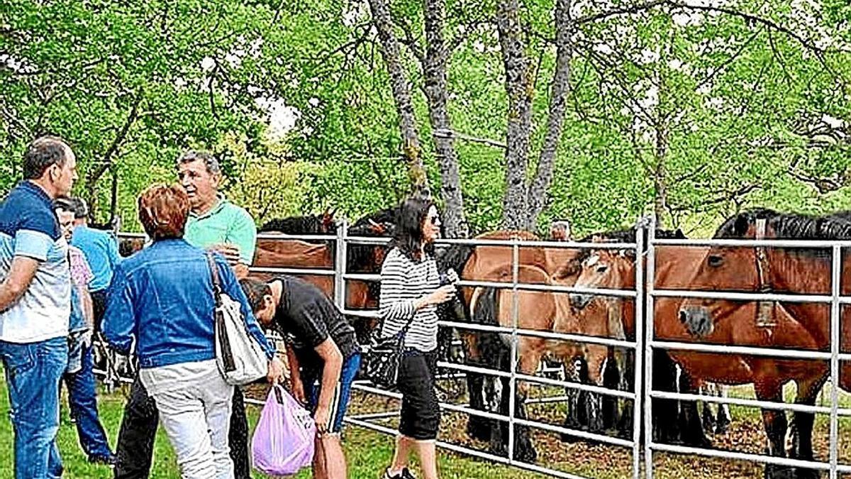 Feria del Caballo en Ondategi