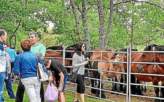 Feria del Caballo en Ondategi