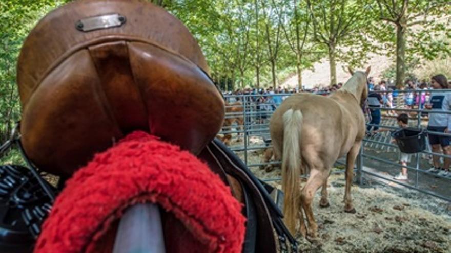 La feria se celebrará el próximo 13 de septiembre