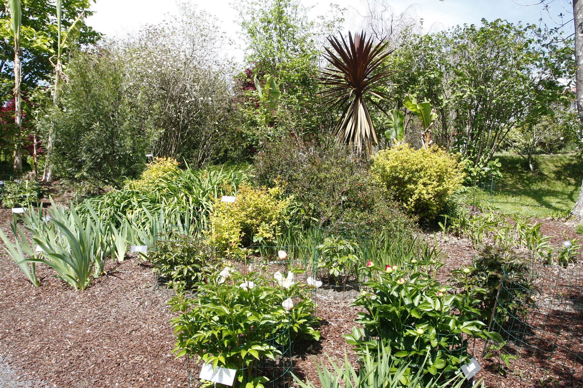 Jardin botanico de Iturraran.