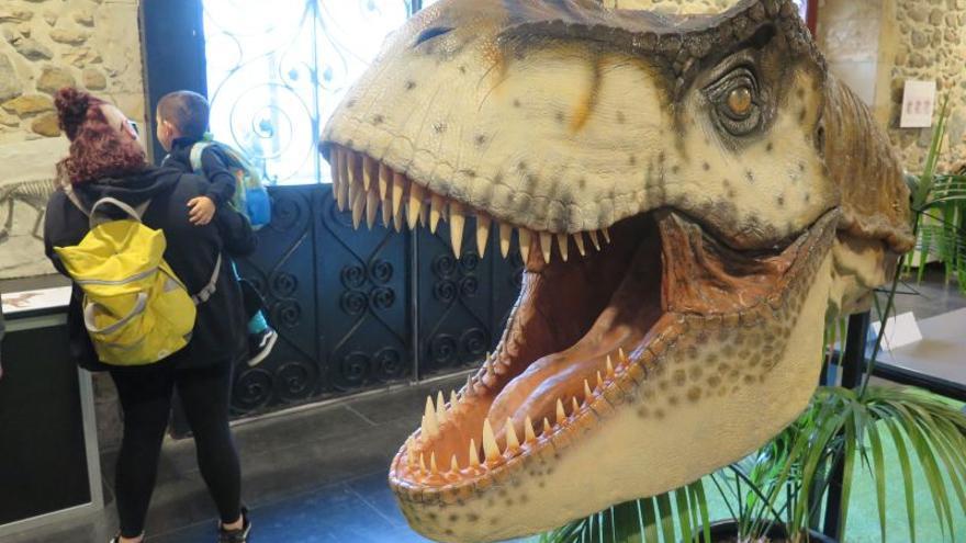 La exposición de la entrada del ayuntamiento.