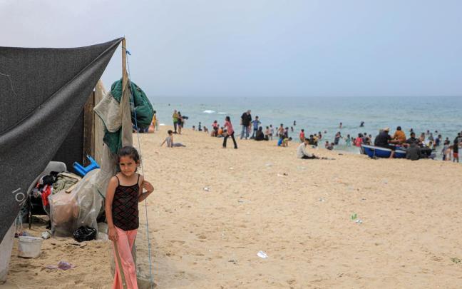 Palestinos evacuados de Rafah.