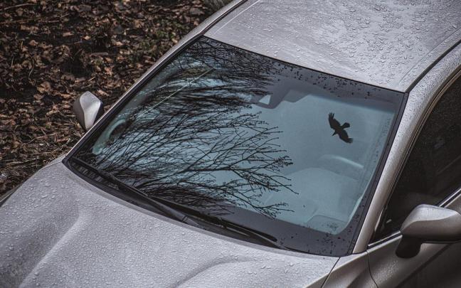 Un vehículo en un bosque, en una imagen de archivo.