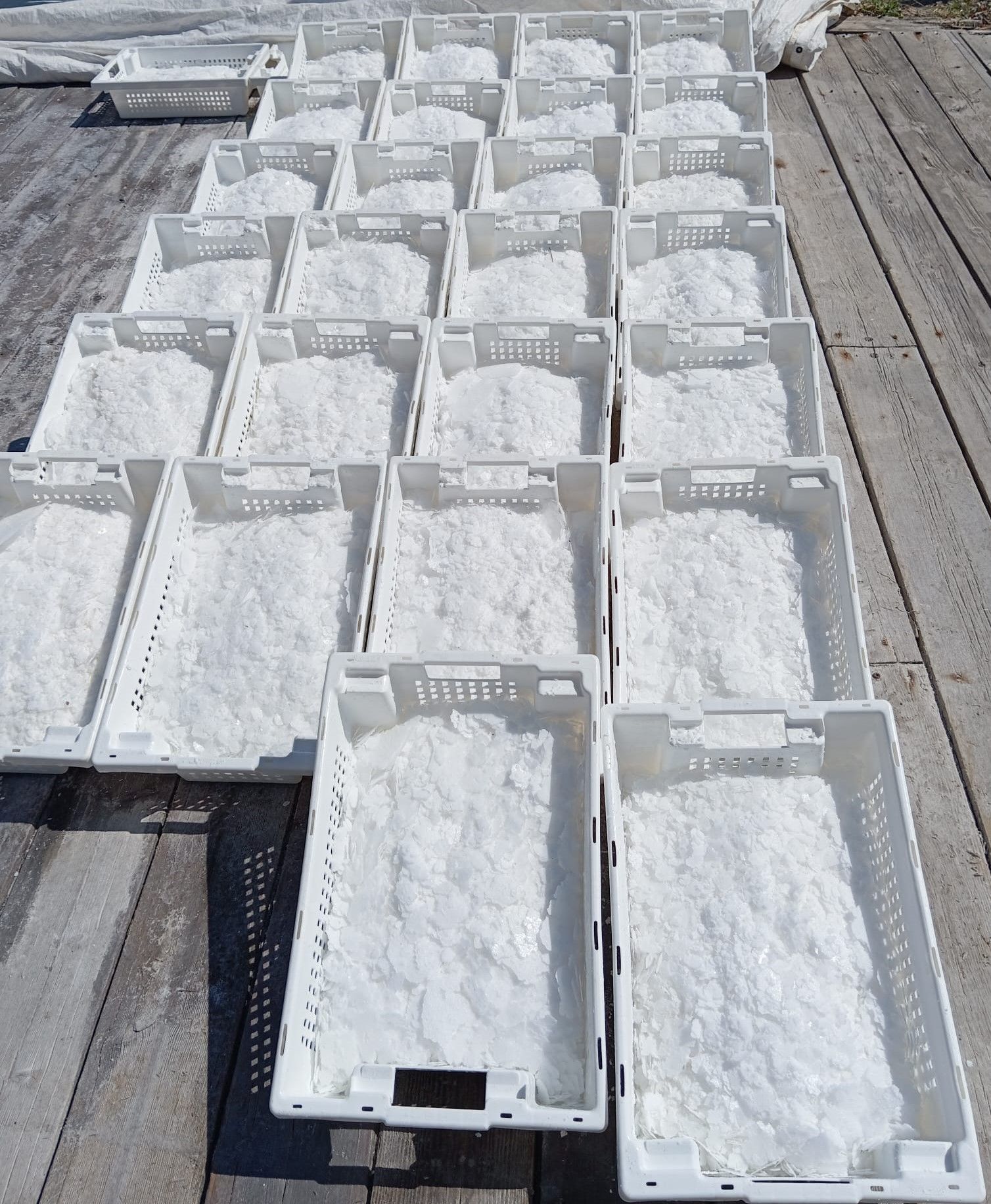 La sal, a punto de consumición.