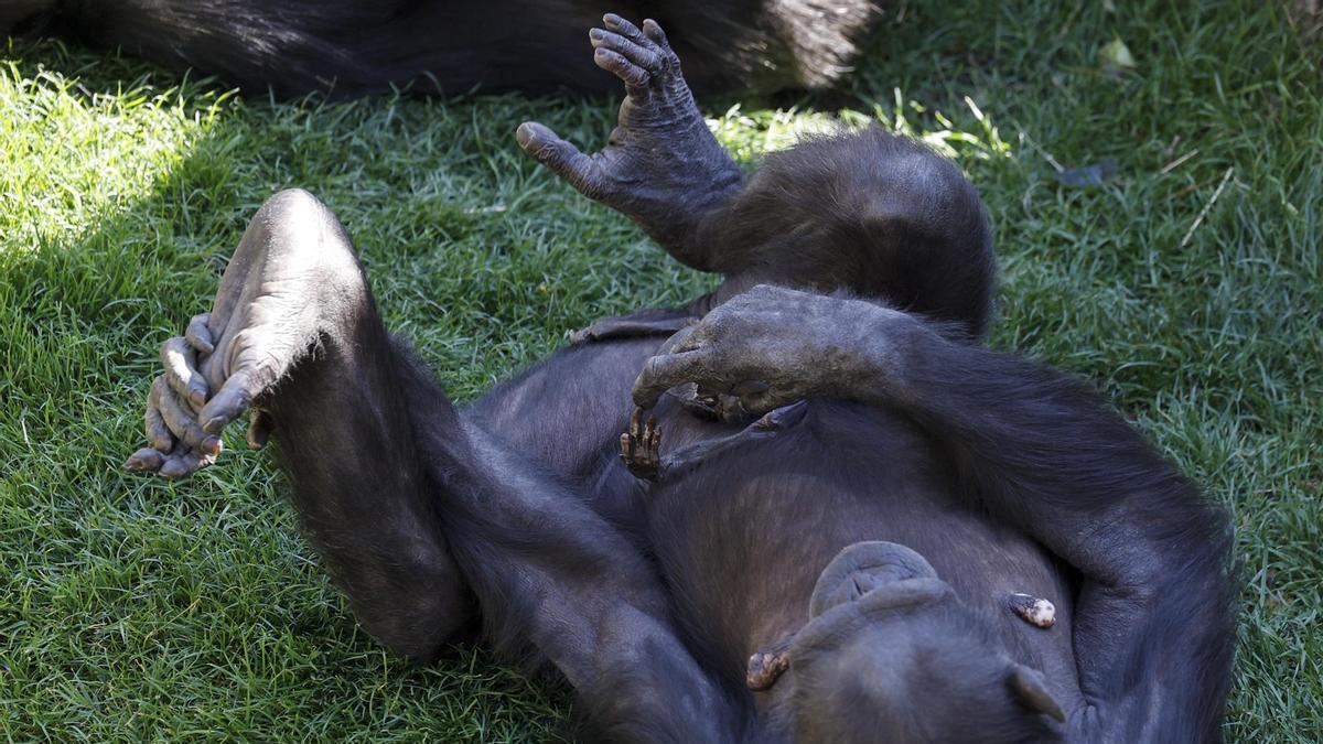 Natalia acaricia la mano de su cría.