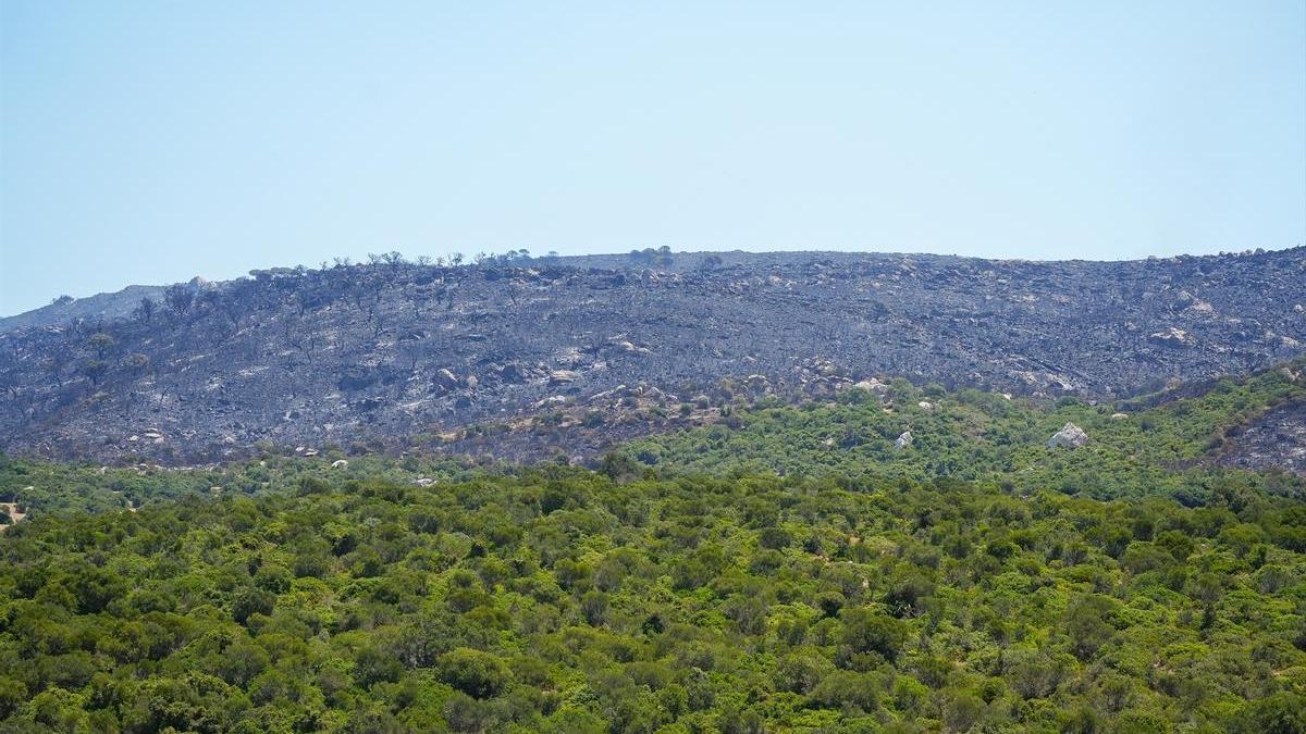 Parte del paraje Sierra de la Plata, en Tarifa (Cádiz), calcinado por el incendio.