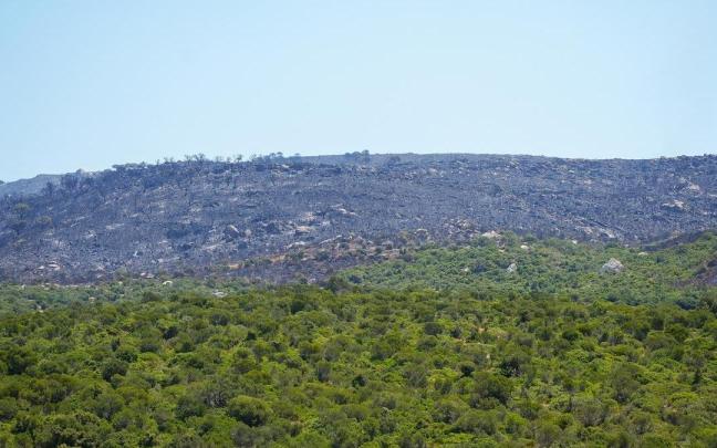 Parte del paraje Sierra de la Plata, en Tarifa (Cádiz), calcinado por el incendio.