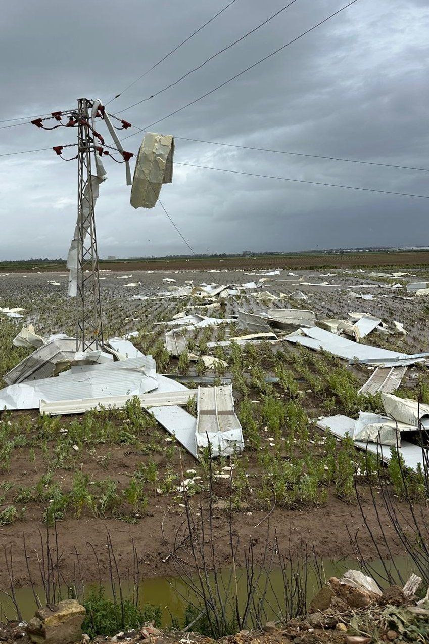 Las fuertes rachas de viento han afectado también a una torre de alta tensión.