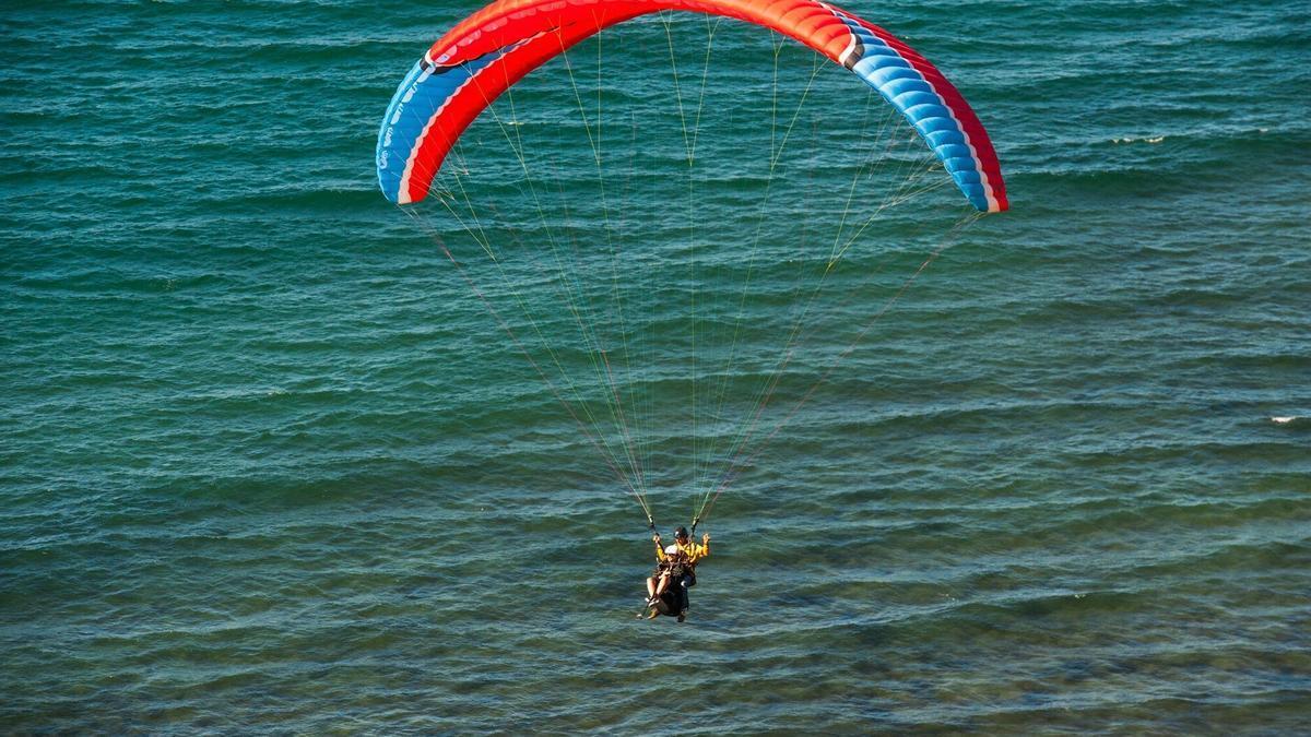 Parapentistas aterrizando cerca de una playa.