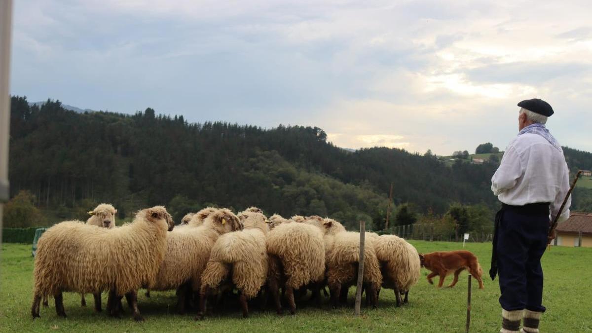 Garai acogerá el Campeonato de Perros de Pastor de Euskal Herria