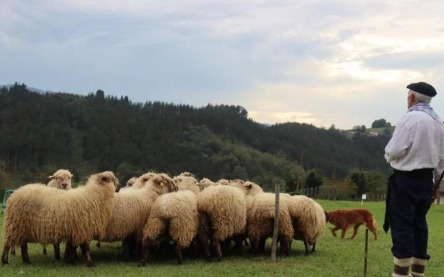 Garai acogerá el Campeonato de Perros de Pastor de Euskal Herria