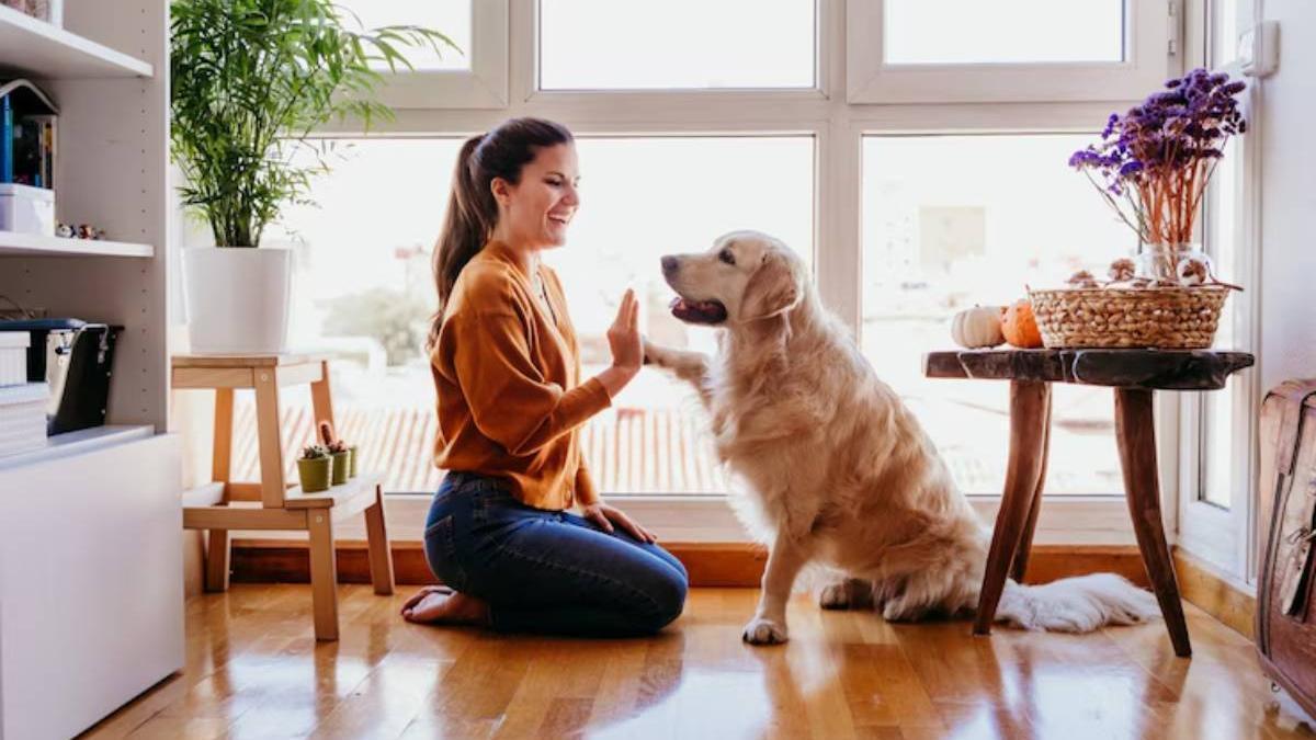 Chica interactúa con su perro en casa.