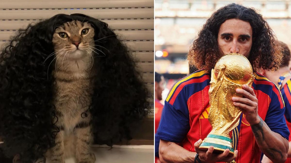 Lo que comenzó como una broma entre aficionados terminó convirtiéndose en uno de los memes más populares del torneo.