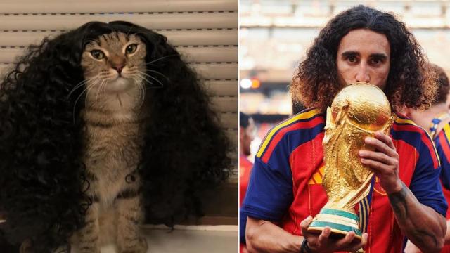 Lo que comenzó como una broma entre aficionados terminó convirtiéndose en uno de los memes más populares del torneo.
