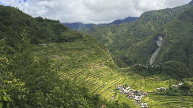 En imágenes: Filipinas y sus terrazas de arroz, "la octava maravilla del mundo"