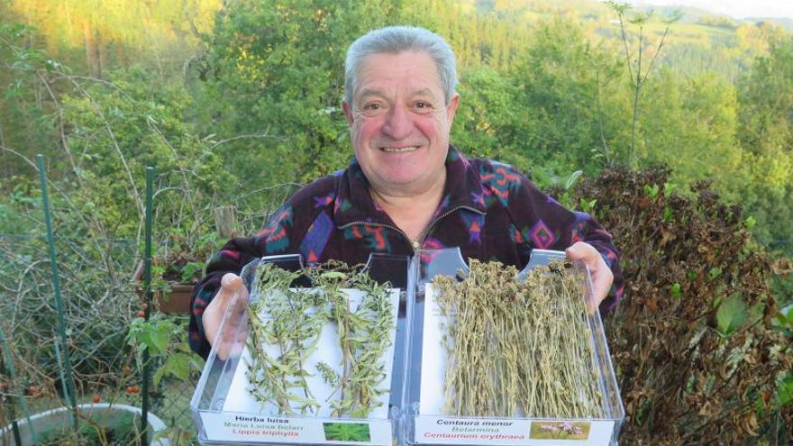 Fermín Goenaga, con dos clases de hierbas medicinales.