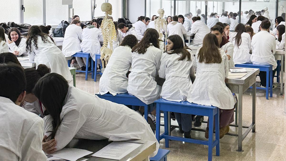 Laboratorio de la Facultad de Medicina de la EHU.
