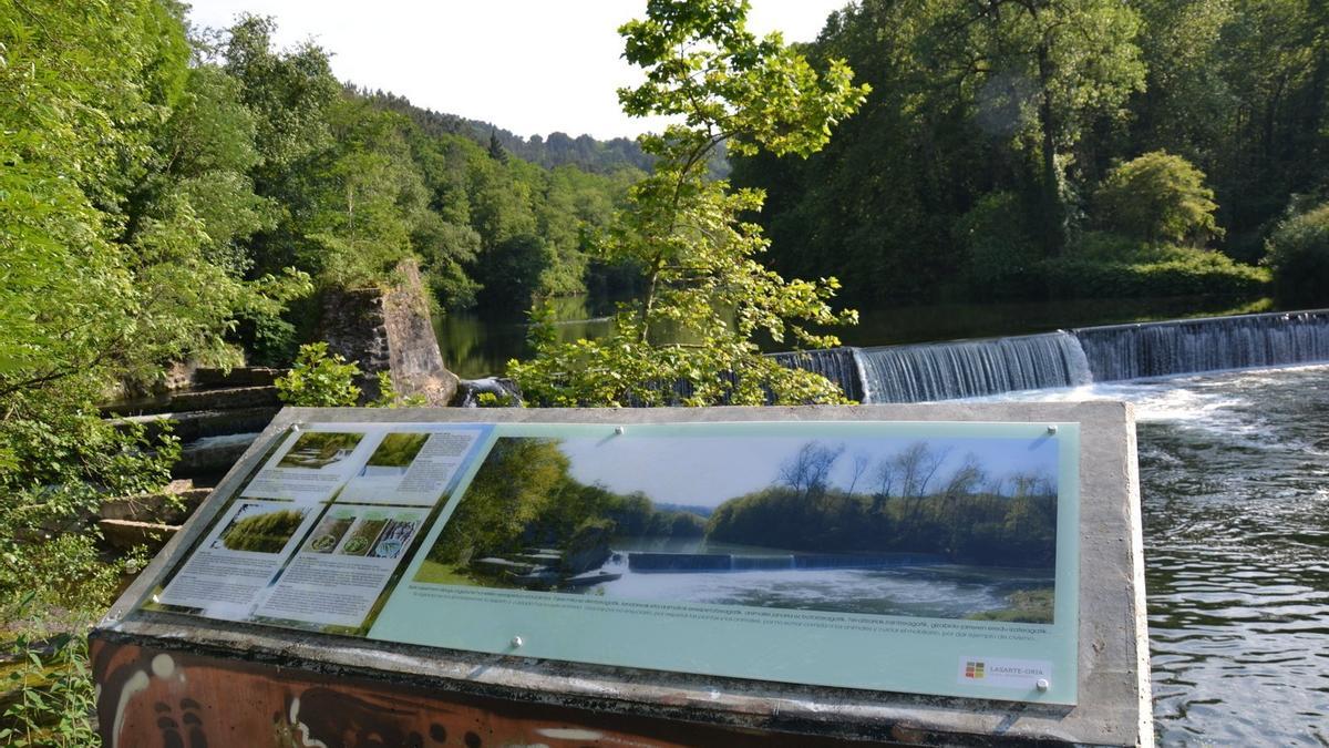 El río Oria en Gipuzkoa, otro referente en su desembocadura.