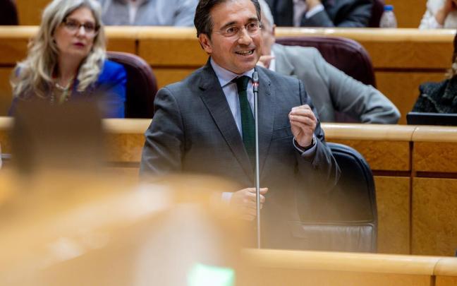 El ministro de Asuntos Exteriores, José Manuel Albares, interviene durante una sesión de control al Gobierno en el Senado.