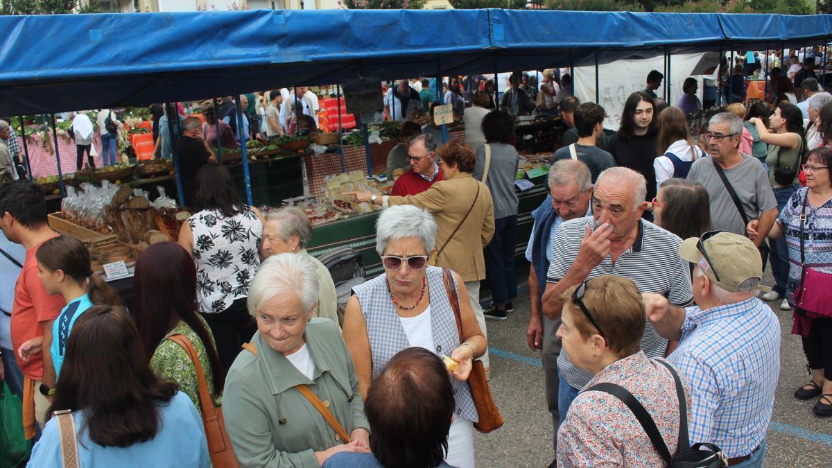 La feria de San Martín de Bergara, en imágenes